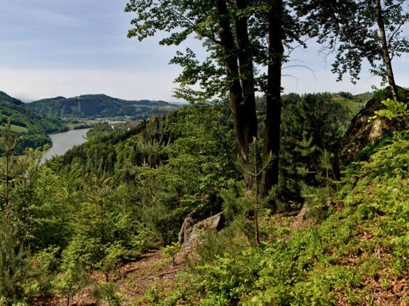 Panoramablick Dichterstein