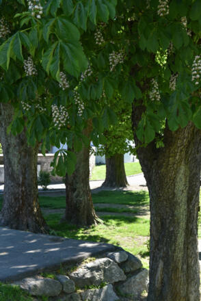 MotivaTOUR Rastplatz im Schatten