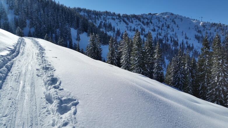 Skitour von Alpbach auf den Schatzberg
