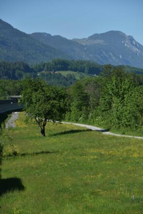 MotivaTOUR Radweg Wiese