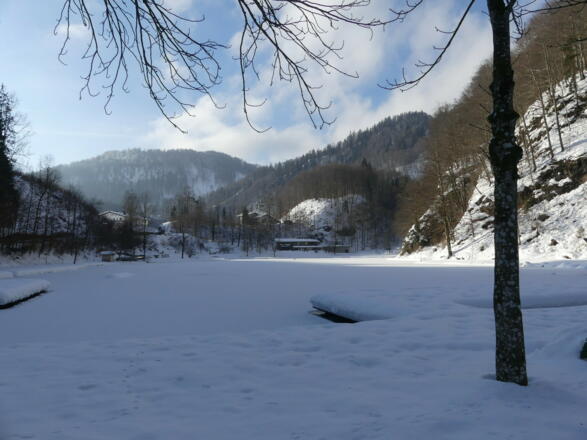 Luegsteinsee im Winter