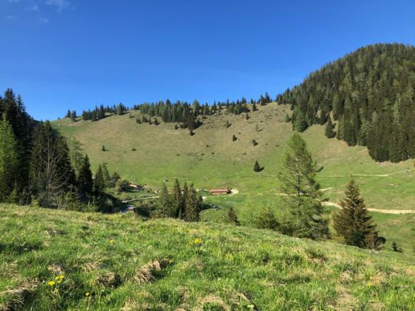 Pletzachalm darüber die Anhöhe und der Pletzachkogel