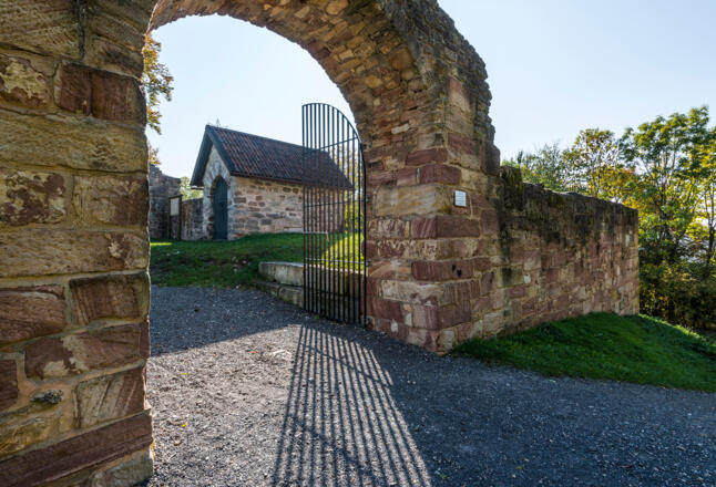 Ruine Lauterburg | Innenhof