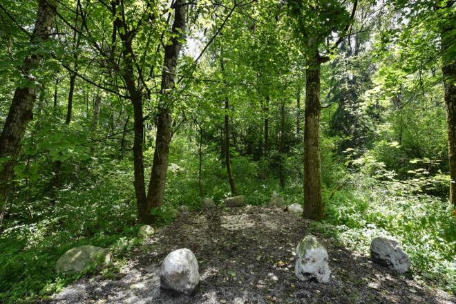 MotivaTOUR Wald und Wiesen Station