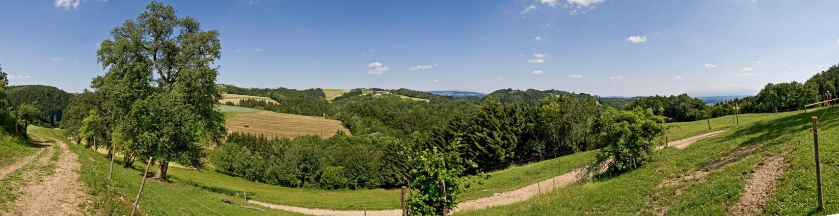 Panorama Fürstberger