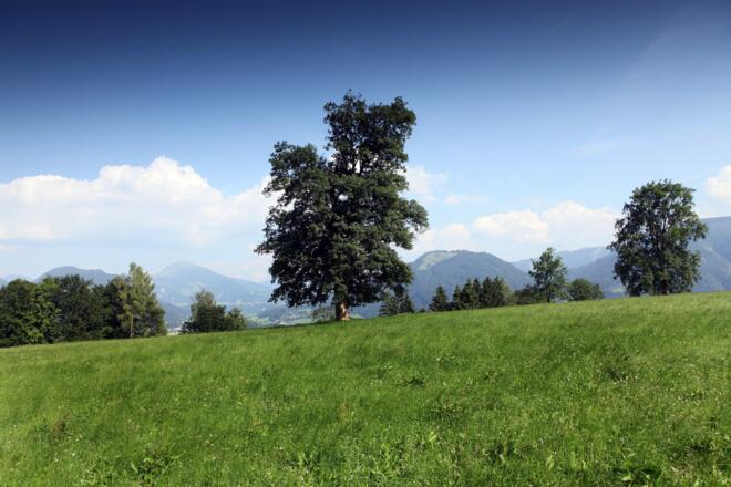 Aussicht auf Wörgl von Angerberg