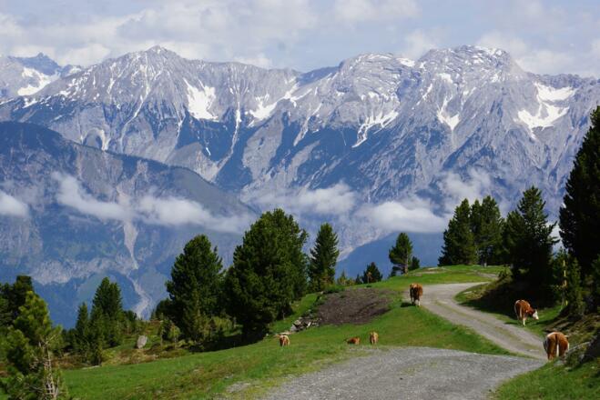 Ausblick Panorama Tulfeinalm