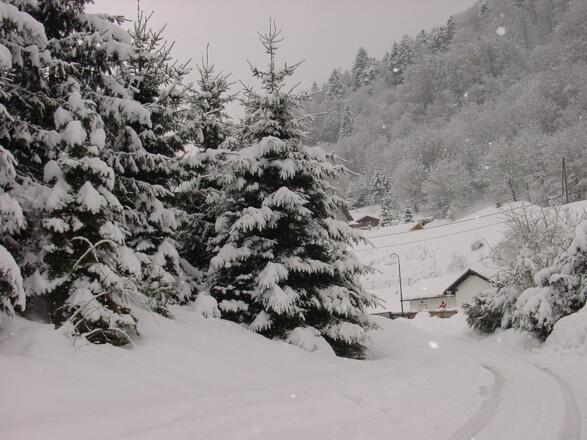 Apartment St.Nikola W 13