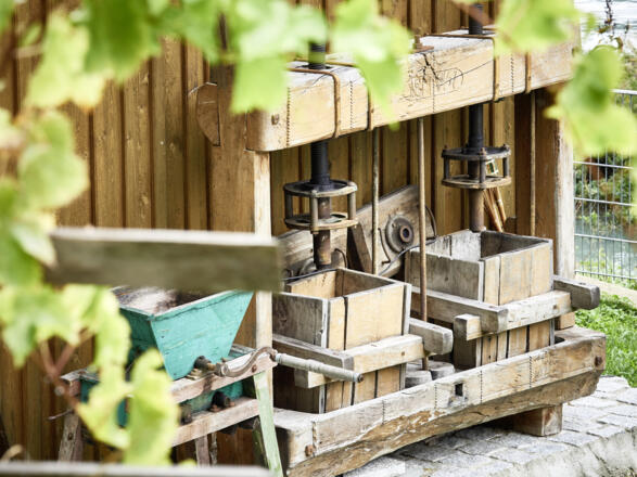 Donautaler Mostkellerei_Obermühl_150924_208©WGD Donau Oberösterreich Tourismus GmbH-Peter Podpera