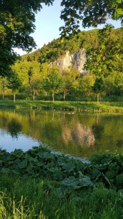 Ferienwohnung Schäffer