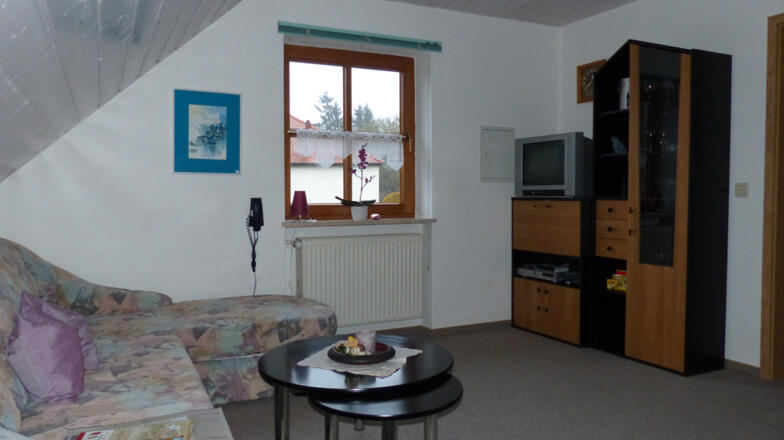 Wohnbereich mit ausziehbarem Schlafsofa