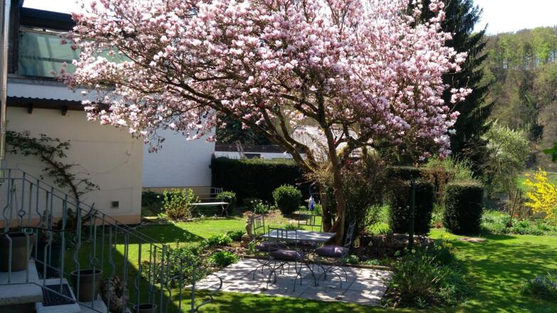 Unser schöner Garten