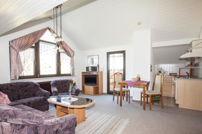 Wohnraum mit Zugang zur überdachten Dachterrasse