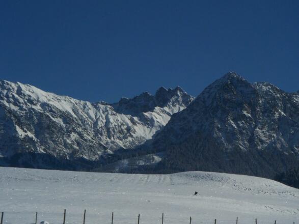 Bergblick von der Ferienwohnung Bergblick