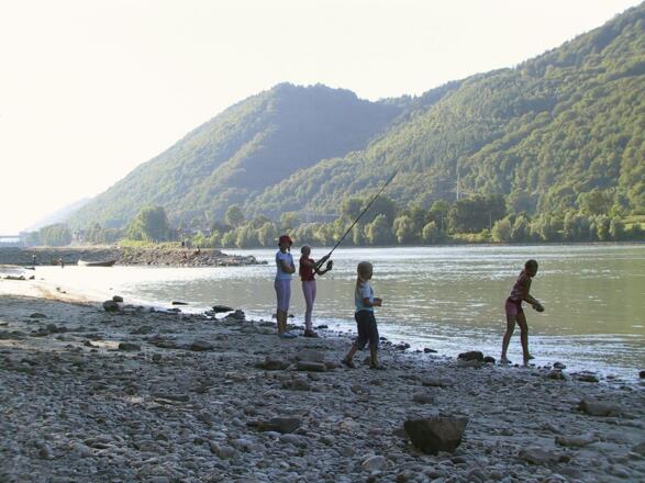 Fischen an der Donau