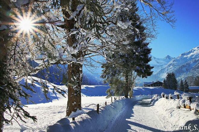 16142999_1236368059785751_2134911428984114608_n