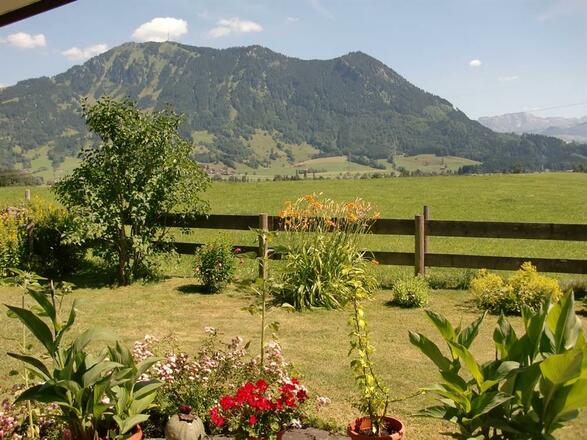 Gartenblick mit Grünten