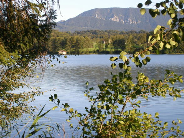 Tinningersee