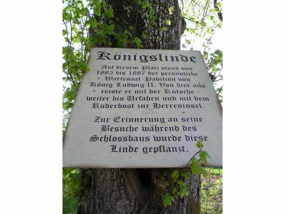 Königslinde in Rimsting