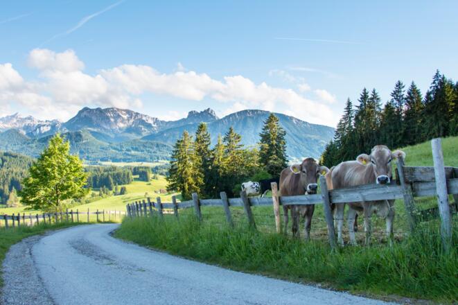 Unterwegs zur Schlossbergalm