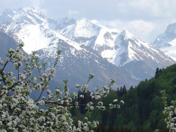 Aussicht von Fischens Ortsteil Maderhalm