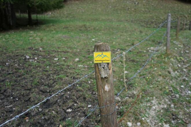 Wegemarkierung SalzAlpenTour