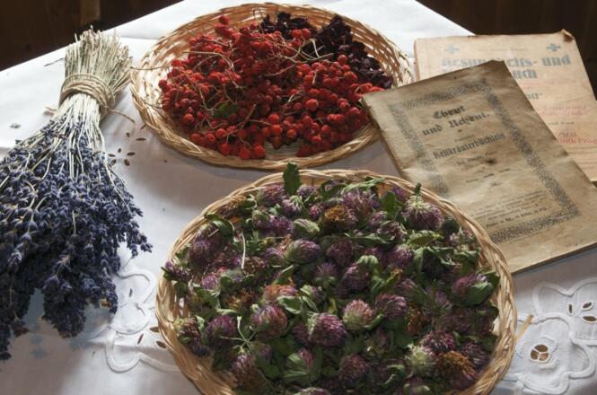 Kräuter beim Kräuterwirt