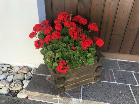 Blumengruß an der Haustür