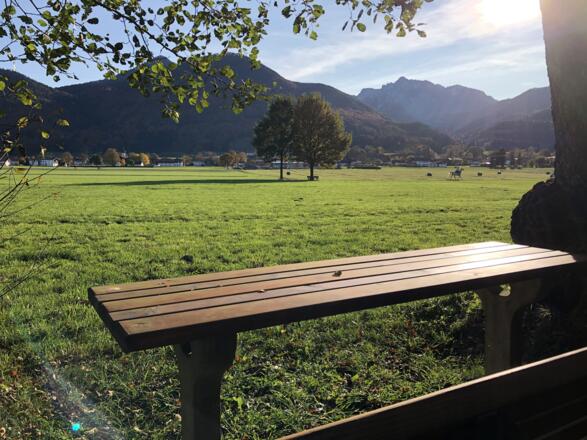 Picknickplatz am Waldtierweg