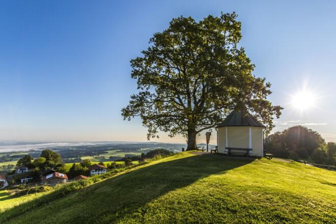 Aussichtskapelle Oberreit mit Luitpoldeiche