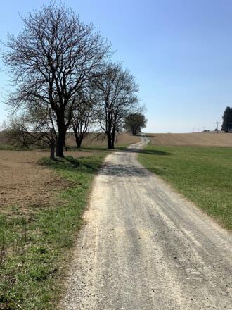 zwischen Hohenberg und Marktleugast