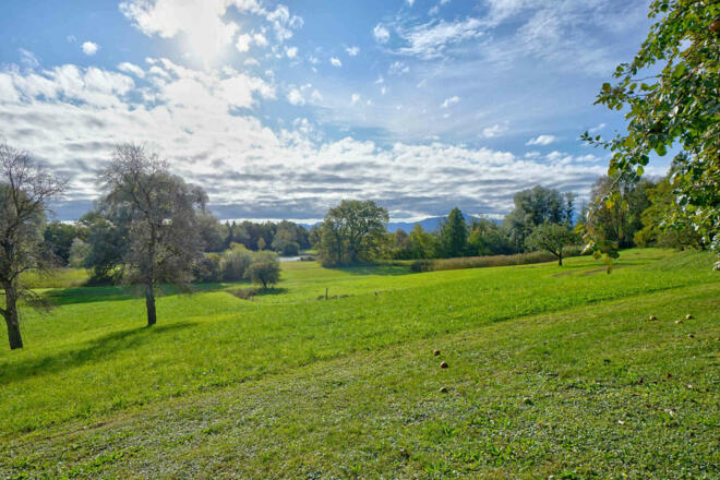 Blick vom Hof auf den Garten und die Alz