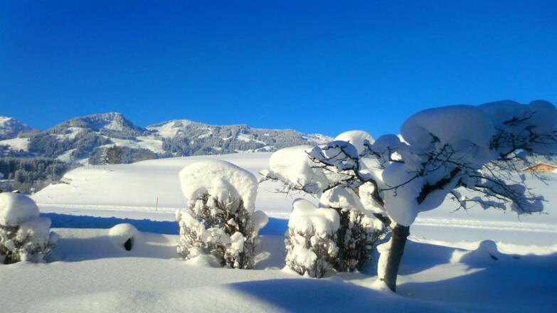 Ausblick auf die verschneite Allgäuer Landschaft