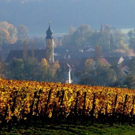 Michelau im Steigerwald