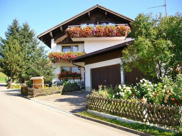 Sommer im Haus Buchenberg