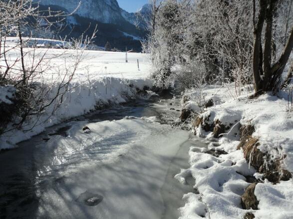 Fischbach nahe unseres Hauses