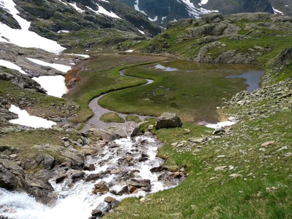 &quot; im Paradies&quot; nahe der Nürnberger Hütte