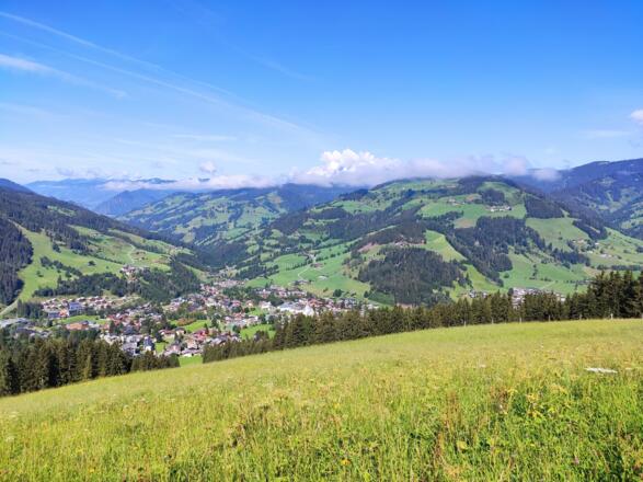Wanderung zur Edelweissalm