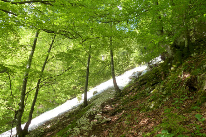 Ammergauer Höhenweg (1.Etappe von 4)