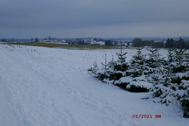 Bick auf Zankenhausen