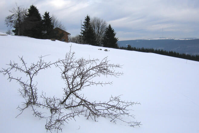 Würzburger Bergbund-Hütte und Heidelstein