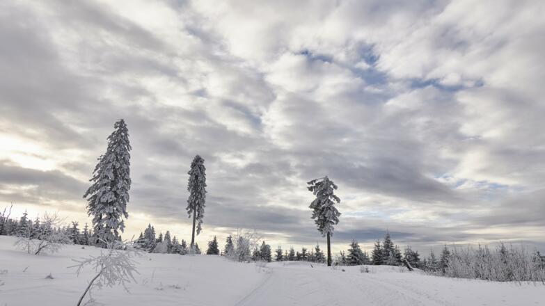 Langlaufen am Bretterschachten