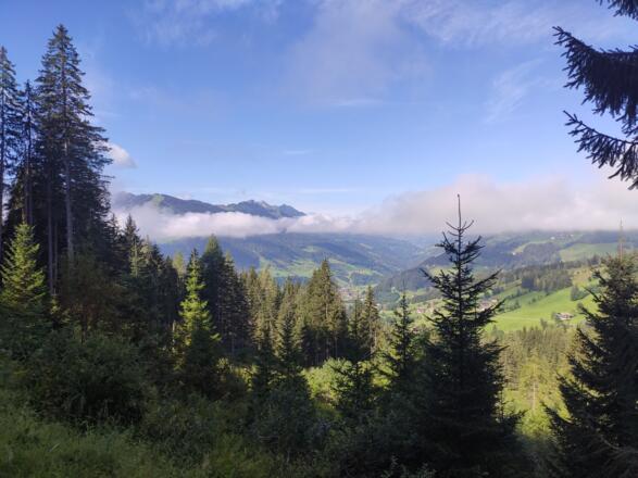 Wanderung zur Edelweissalm