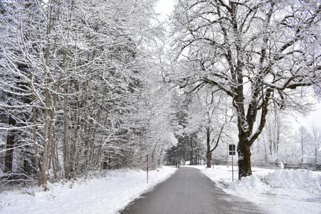Winterwanderung Scherenauer Runde