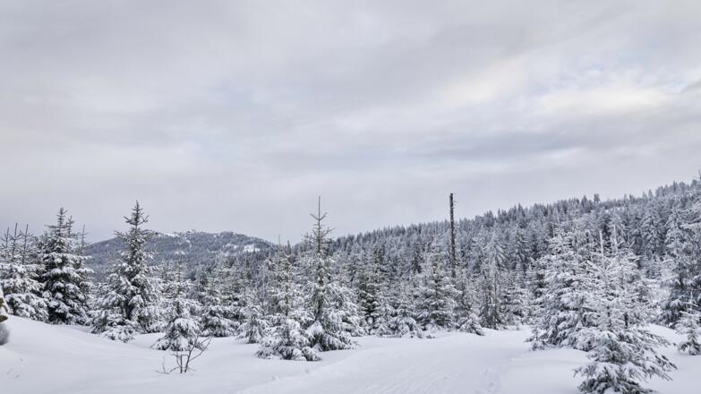 Langlaufen am Bretterschachten