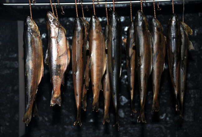 Rössling und Fischhütte