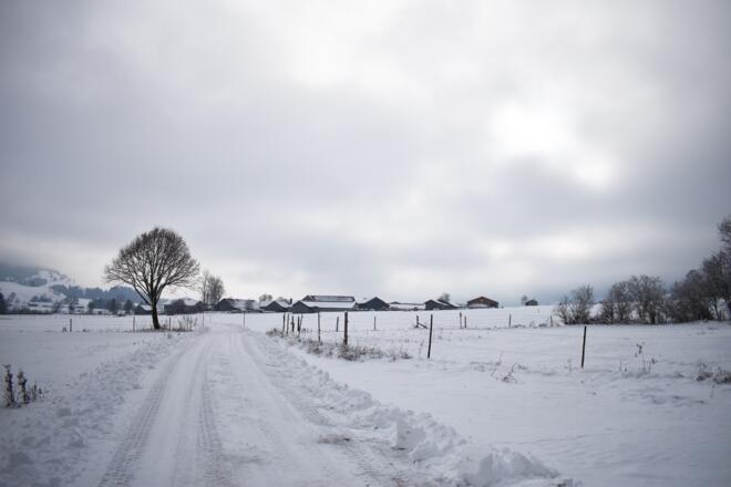 Winterwanderung Scherenauer Runde