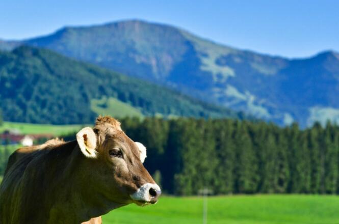 328247_3617534160247_477059092_o