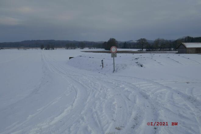 derzeit Winter im Ampermoos
