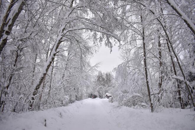 Winterwanderung Rochusfeld
